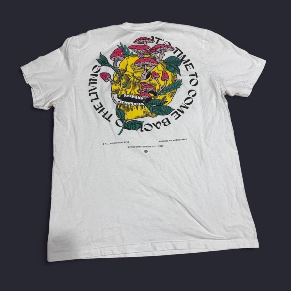 BAND TEE - Shinedown “it’s time to come alive” tee shirt. Size Small